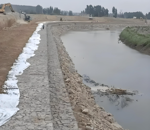 সর্বশেষ কোম্পানি ব্লগ সম্পর্কে Gabion Mesh Machinery Empowering Green Infrastructure and Eco-Restoration Projects